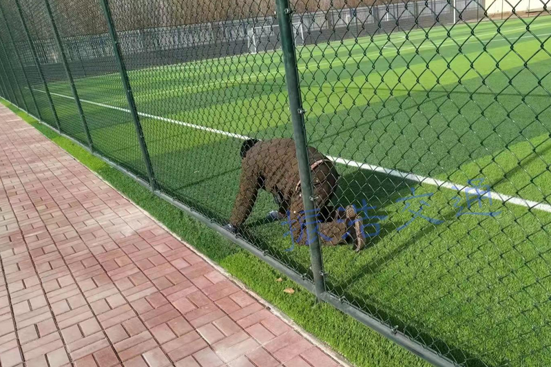 Stadium fence
